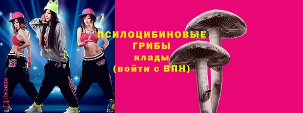 ALPHA-PVP Ельня