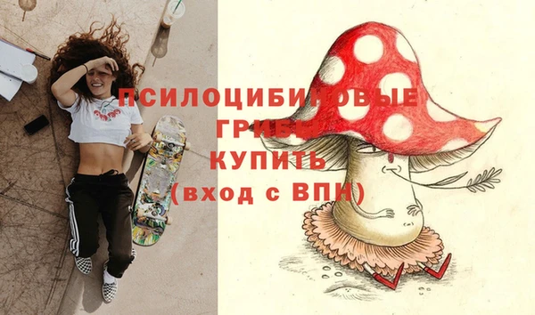 прущие крисы Пестово