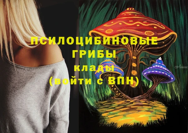MDMA Premium VHQ Дмитровск