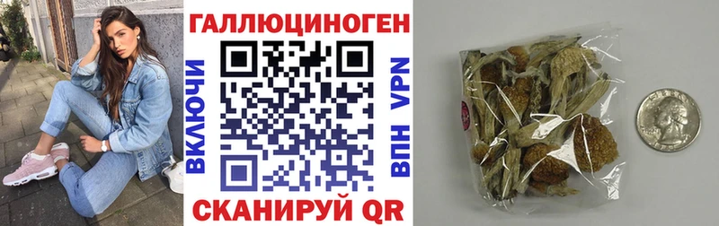 Псилоцибиновые грибы Psilocybe  где можно купить   Пестово 